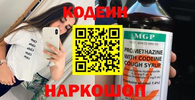 амф Кингисепп