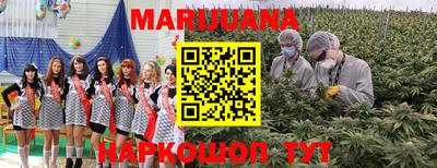 амф Кингисепп