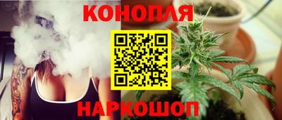 амф Кингисепп