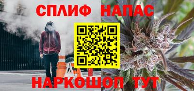 амф Кингисепп