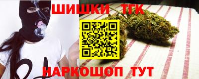 амф Кингисепп