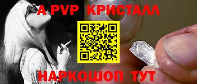 амф Кингисепп