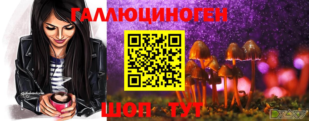Кольчугино  Псилоцибиновые грибы ЛСД  Вход с VPN 